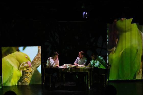 Biotopia. Ein Kölner Bestiarium im Theater im Bauturm Biotopia. Ein Kölner Bestiarium im Theater im Bauturm