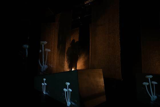 Foto des Theaterstücks "Amphitryon. Ein metaphysisches Gedankenspiel nach Kleist" Foto des Theaterstücks "Amphitryon. Ein metaphysisches Gedankenspiel nach Kleist"